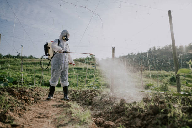 Best Local Pest Control Services  in Higganum, CT
