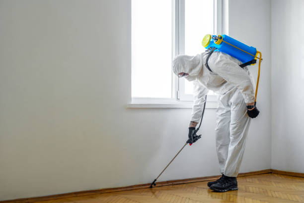 Pest Prevention Services in Higganum, CT
